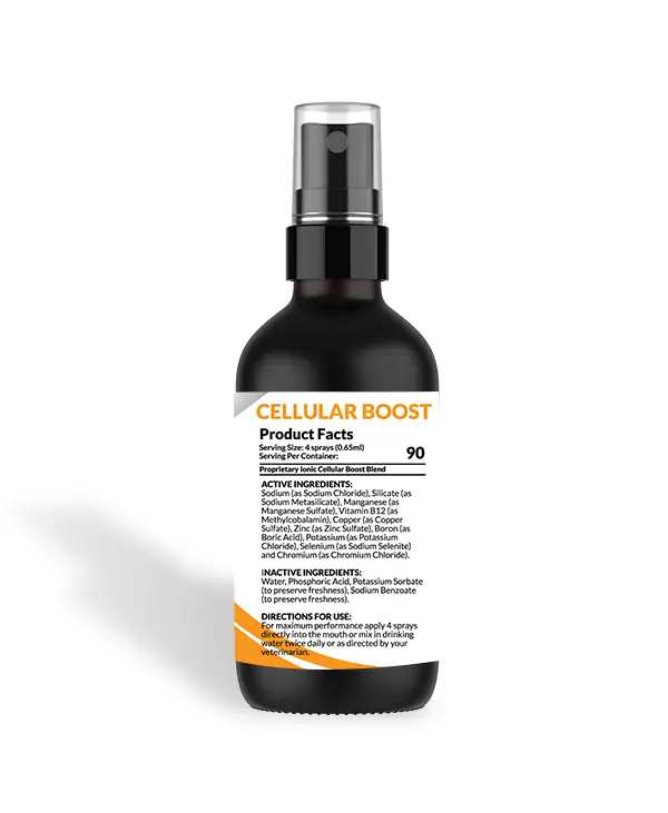 Cellular BOOST