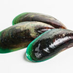 The Green-Lipped Mussel: Natures Perfect Superfood
