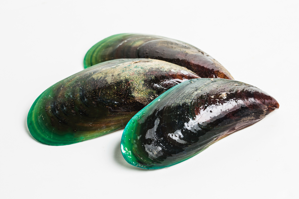 The Green-Lipped Mussel: Natures Perfect Superfood