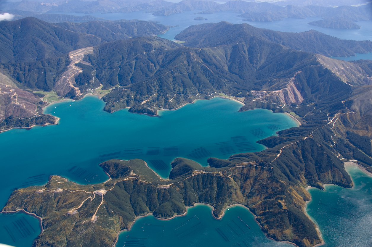 Mussel Farms in Marlborough Sounds, NZ