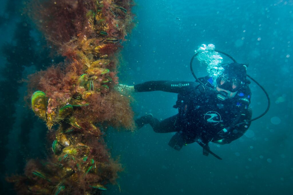 GLM Underwater photo