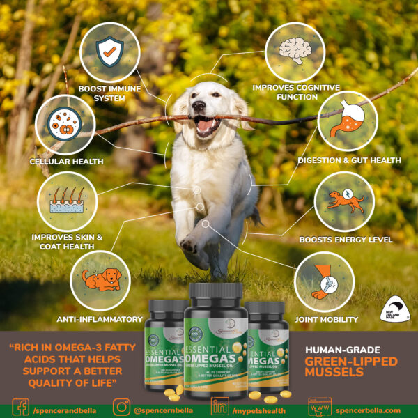 Essential OMEGAS Green Lipped Mussel for Dogs & Cats