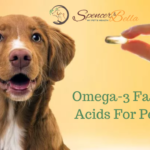 Choosing the right Omega-3 Fatty Acids for your Pet