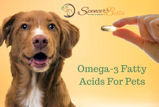 Choosing the right Omega-3 Fatty Acids for your Pet