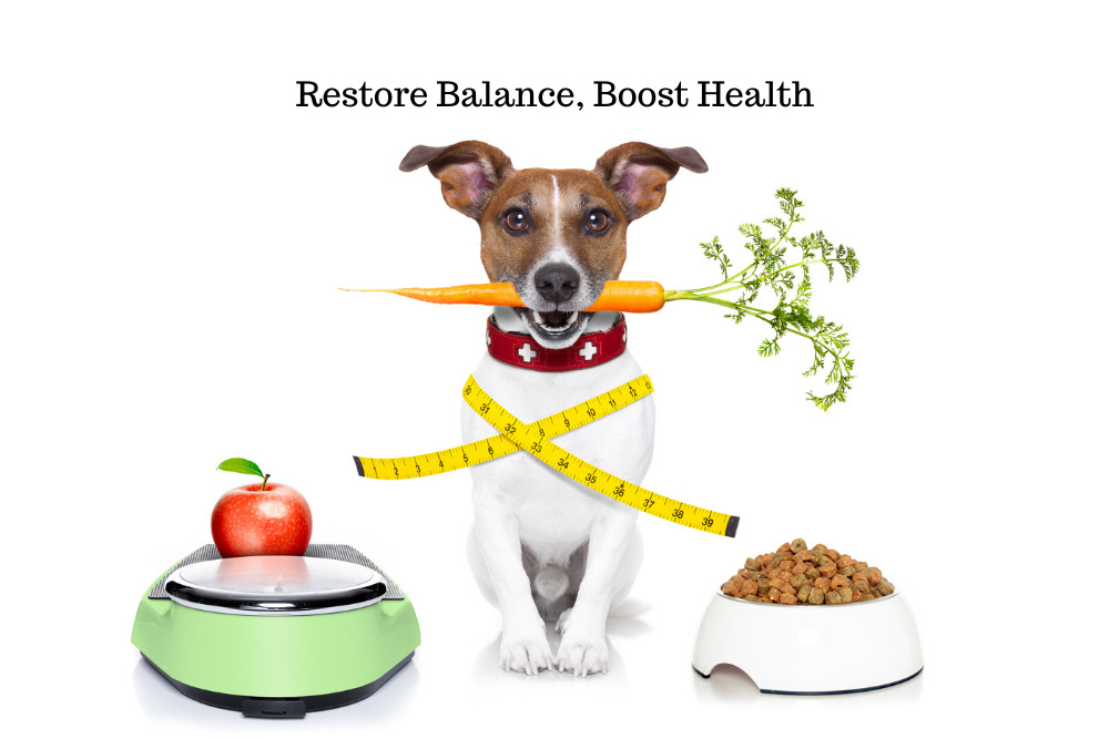 Restore Balance, Boost Health