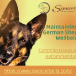 German Shepherd Health Issues A Comprehensive Guide to Common Concerns and Care