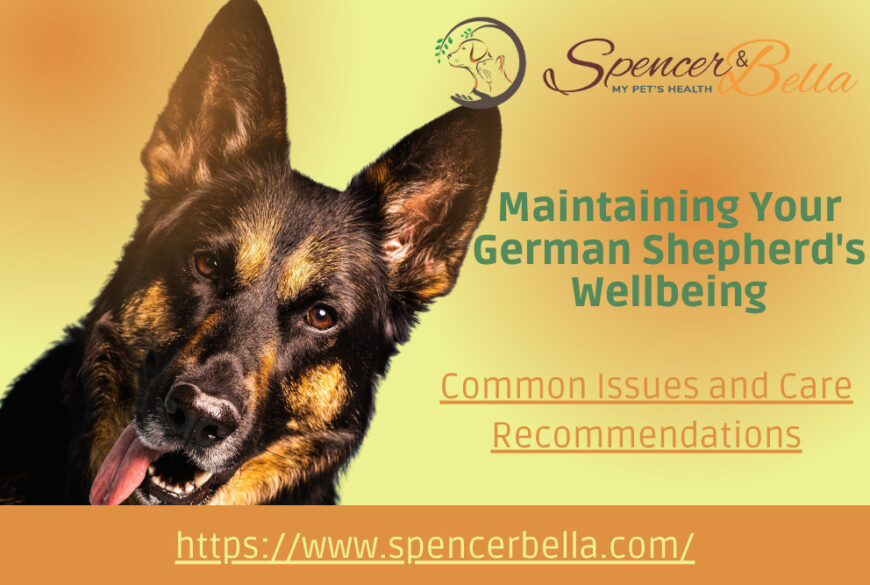 German Shepherd Health Issues A Comprehensive Guide to Common Concerns and Care