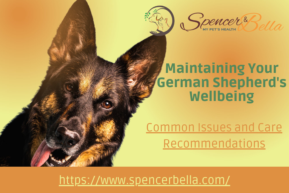 German Shepherd Health Issues A Comprehensive Guide to Common Concerns and Care