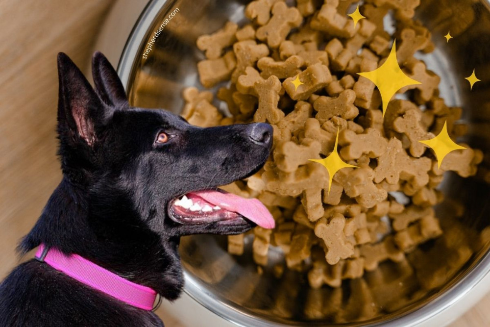 German Shepherd Nutrition Best Food Choices