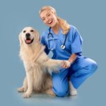 Golden Retriever Health Issues Insights and Strategies for Optimal Well-being