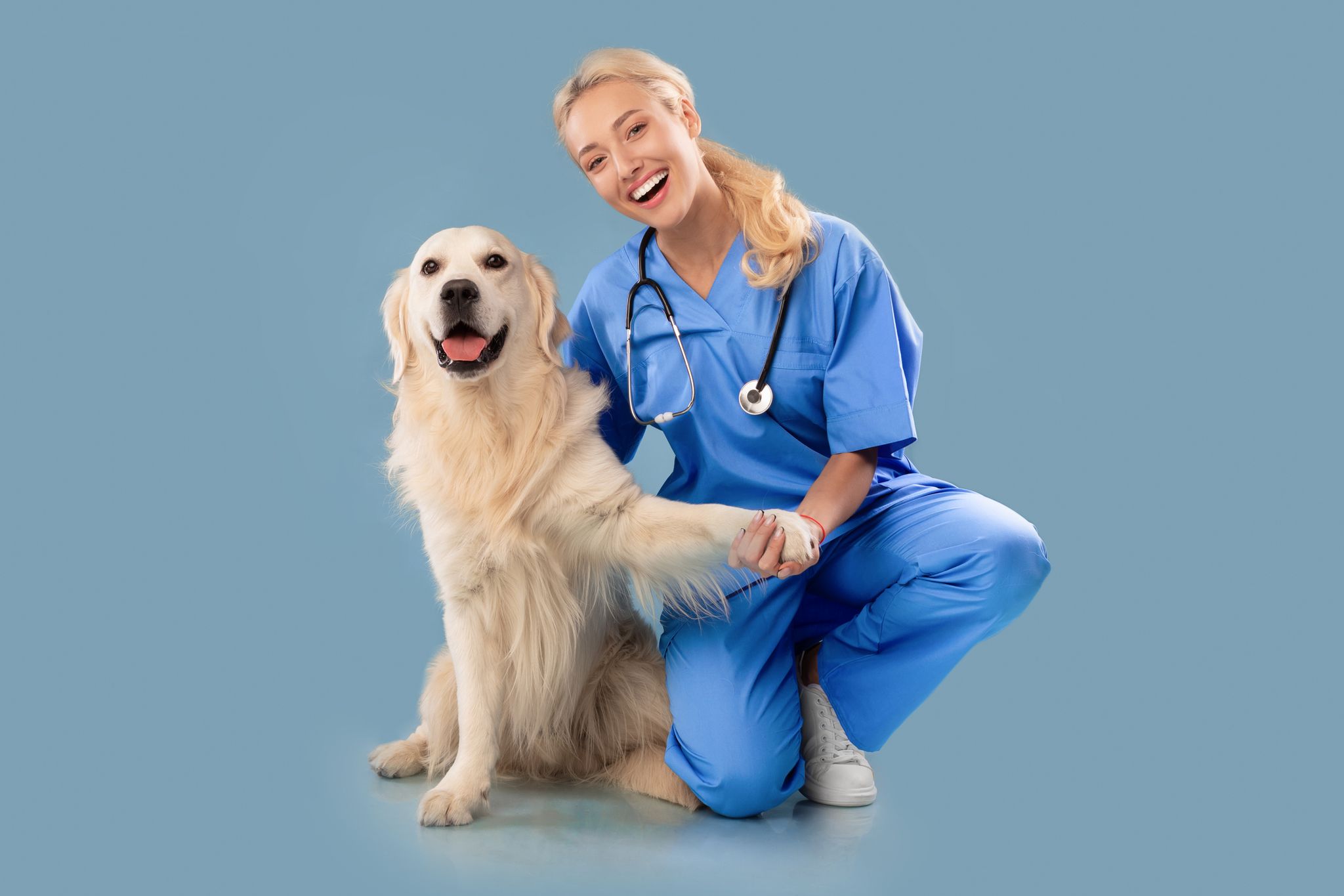 Golden Retriever Health Issues Insights and Strategies for Optimal Well-being