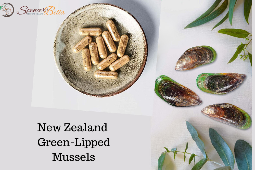 Extraction Methods for Green-Lipped Mussel Supplements