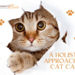 The Purr-fect Path to Feline Health A Comprehensive Guide to Cat Care