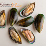 The Surging Demand for Green-Lipped Mussel as a Pet Supplement Paving the Way for Optimal Joint Health
