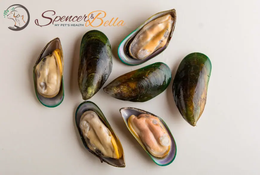 The Surging Demand for Green-Lipped Mussel as a Pet Supplement Paving the Way for Optimal Joint Health