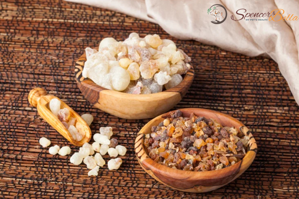 Boswellia: Unlocking the Anti-Inflammatory Potential