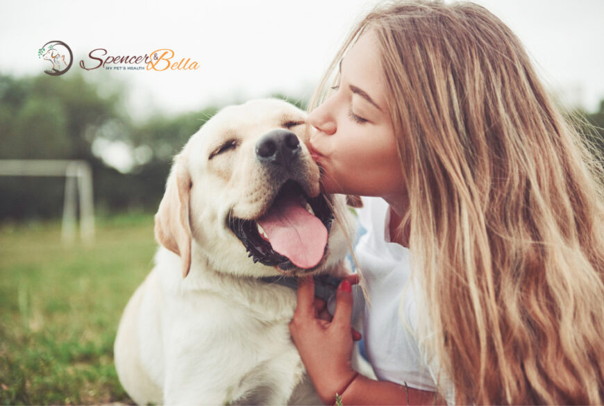 Pawsitive Connection: How Understanding the 5 Love Languages Can Reduce Stress for You and Your Dog