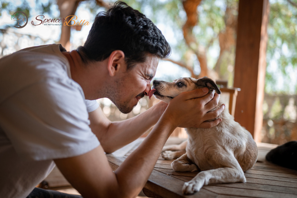 Pawsitive Connection: How Understanding the 5 Love Languages Can Reduce Stress for You and Your Dog