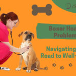 The Energetic and Loyal Boxer: A Guide to their Health and Wellbeing