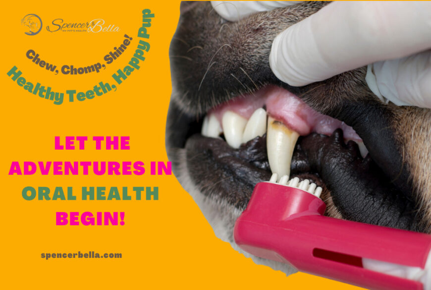 The Ultimate Guide to Dog Teeth Health and Dental Cleaning