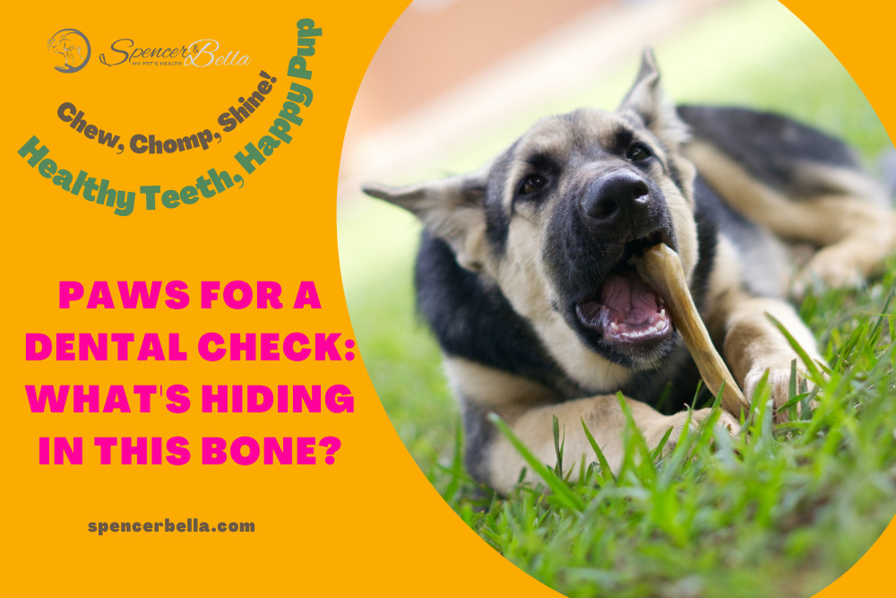 The Benefits of Raw Bones for Self-Cleaning Your Dog's Teeth